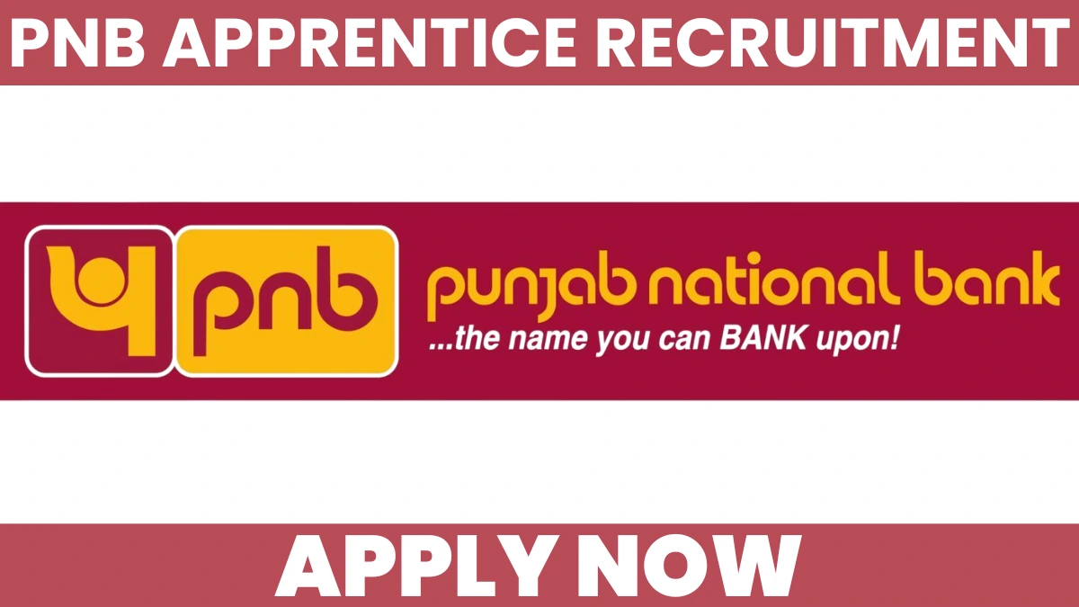 PNB Apprentice Recruitment 2026